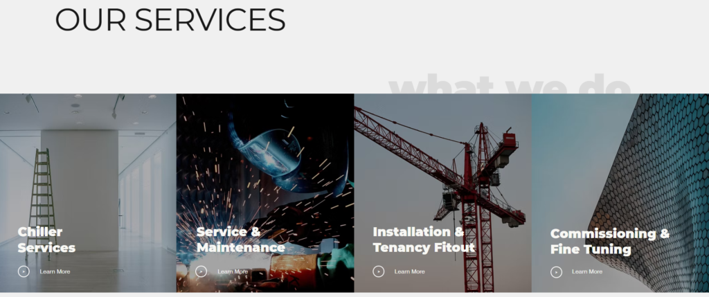 AMS Webpage Bueno Partner