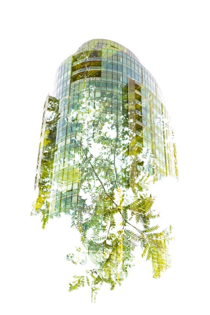 Bueno Total Building Optimisation Net Zero