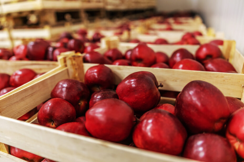 apple cold storage