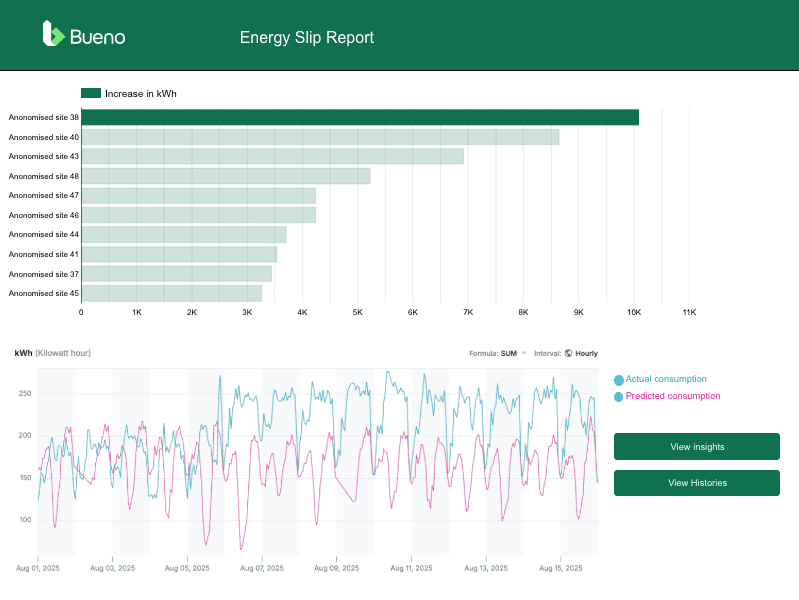 Bueno Energy Slip Report